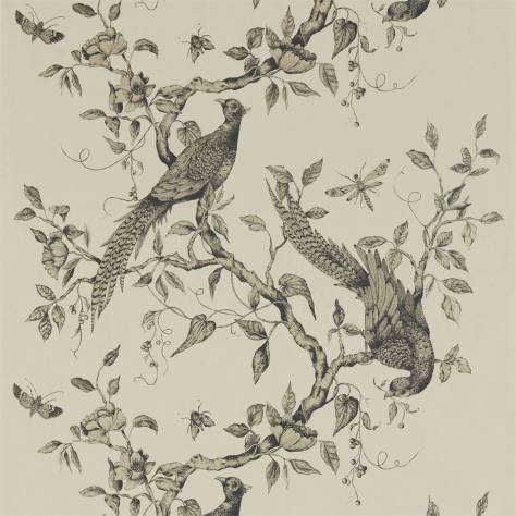 Zoffany Darnley Wallpapers Darnley Wallpaper - Dove - ZDAR312849