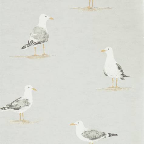 Sanderson Home Port Isaac Wallpapers Shore Birds Wallpaper - Gull - DCOA216565