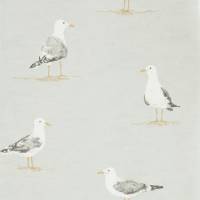 Shore Birds Wallpaper - Gull