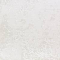 Paysage Wallpaper - Blanc