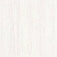 Woods Eucalyptus Wallpaper - Blanc