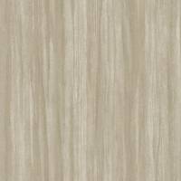 Woods Eucalyptus Wallpaper - Lievre