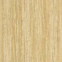 Woods Eucalyptus Wallpaper - Tilleul