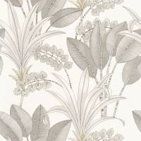 Palma Wallpaper - Blanc
