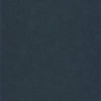 Galuchat Wallpaper - Bleu Nuit