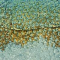 Scales L Wallpanel - Lichen