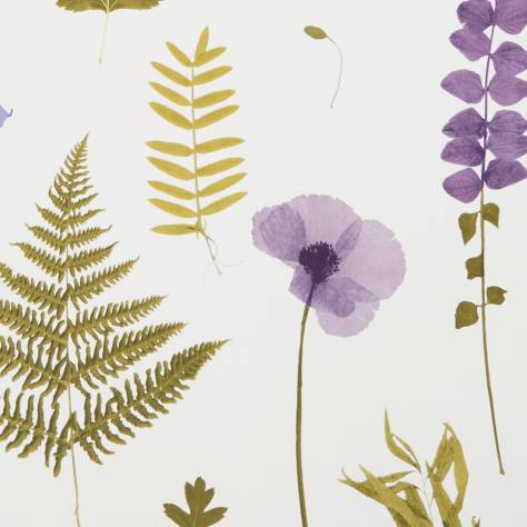Clarke & Clarke Botanica Wallpapers Herbarium Wallpaper - Heather - W0091/03