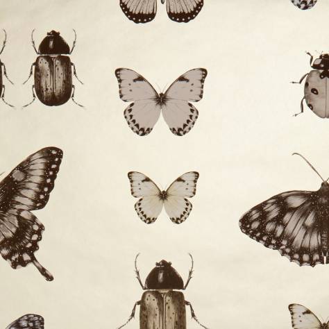 Clarke & Clarke Botanica Wallpapers Papilio Wallpaper - Charcoal / Gold - W0094/01