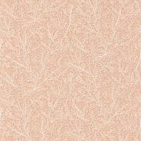 Only Chips Wallpaper - Corail