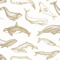 Whale Done Wallpaper - Blanc Dore