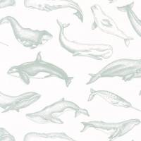 Whale Done Wallpaper - Vert D'eau