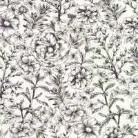 Jardin De Beauregard Wallpaper - Blanc Noir