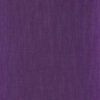 Shinok Wallpaper - Purple
