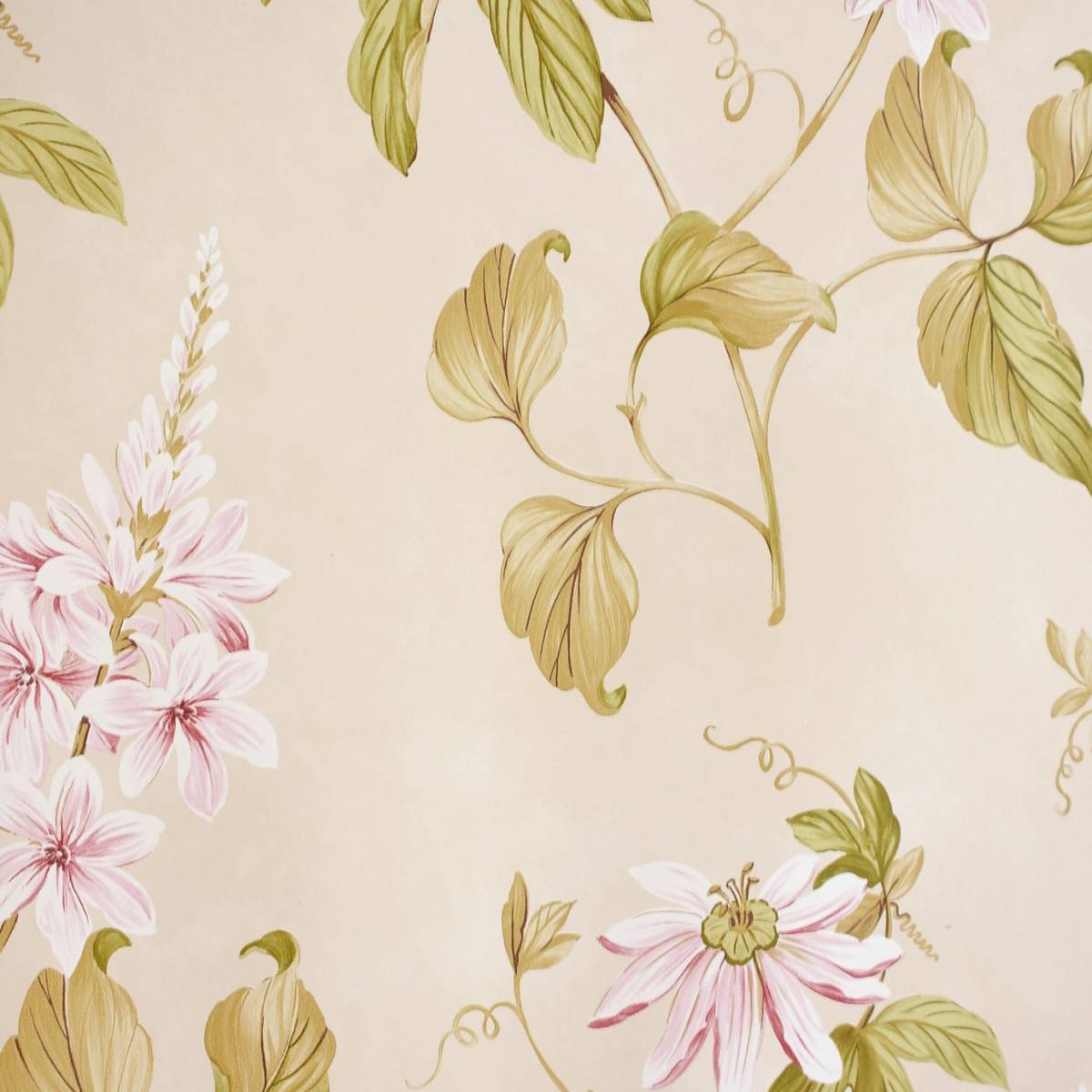Passiflora Wallpaper - Pink/Green (07155/01) - Colefax & Fowler ...