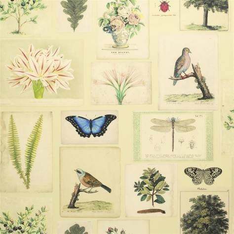 John Derian Picture Book Wallpapers Flora and Fauna Wallpaper - Parchment - PJD6001/01