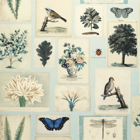 John Derian Picture Book Wallpapers Flora and Fauna Wallpaper - Cloud Blue - PJD6001/02