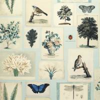 Flora and Fauna Wallpaper - Cloud Blue