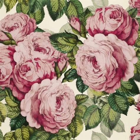 John Derian Picture Book Wallpapers The Rose Wallpaper - Tuberose - PJD6002/02
