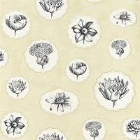 Herbariae Wallpaper - Primevere