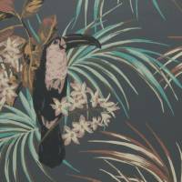 Le Toucan Wallpaper - Charcoal Black