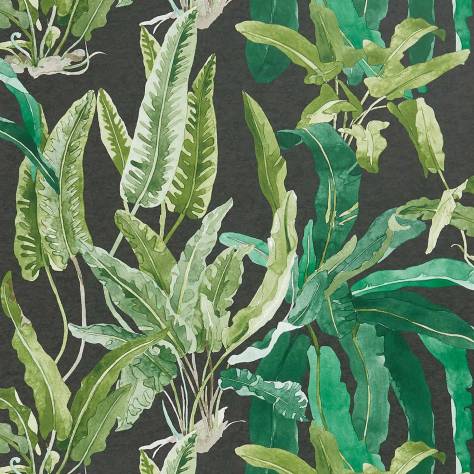 Nina Campbell Ashdown Wallpapers Benmore Wallpaper - Emerald / Green / Ebony - NCW4393-01