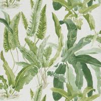 Benmore Wallpaper - Green /Ivory