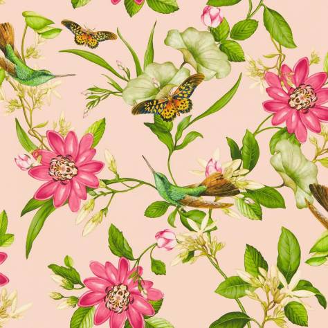 Wedgwood Botanical Wonders Wallpapers Pink Lotus Wallpaper - Blush - W0132/01