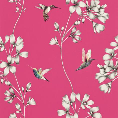 Harlequin Amazilia Wallpapers Amazilia Wallpaper - Flamingo - HAMA111058