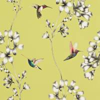 Amazilia Wallpaper - Gooseberry