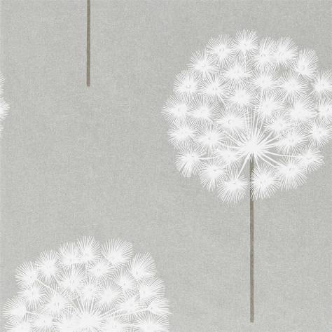 Harlequin Paloma Wallpapers Amity Wallpaper - Silver/Chalk - HPUT111889