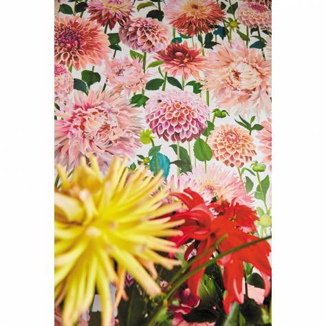 Harlequin Colour 2 Wallpapers Dahlia Wallpaper - Blossom/Emerald/New Beginnings - HQN2112843