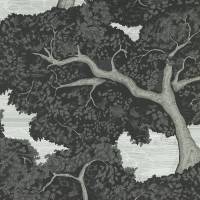 Eternal Oak Wallpaper - Ebony/First Light